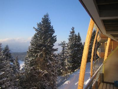 Appartement 6 places chamrousse